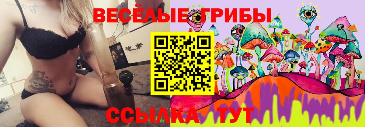 Псилоцибиновые грибы Magic Shrooms Нижнекамск